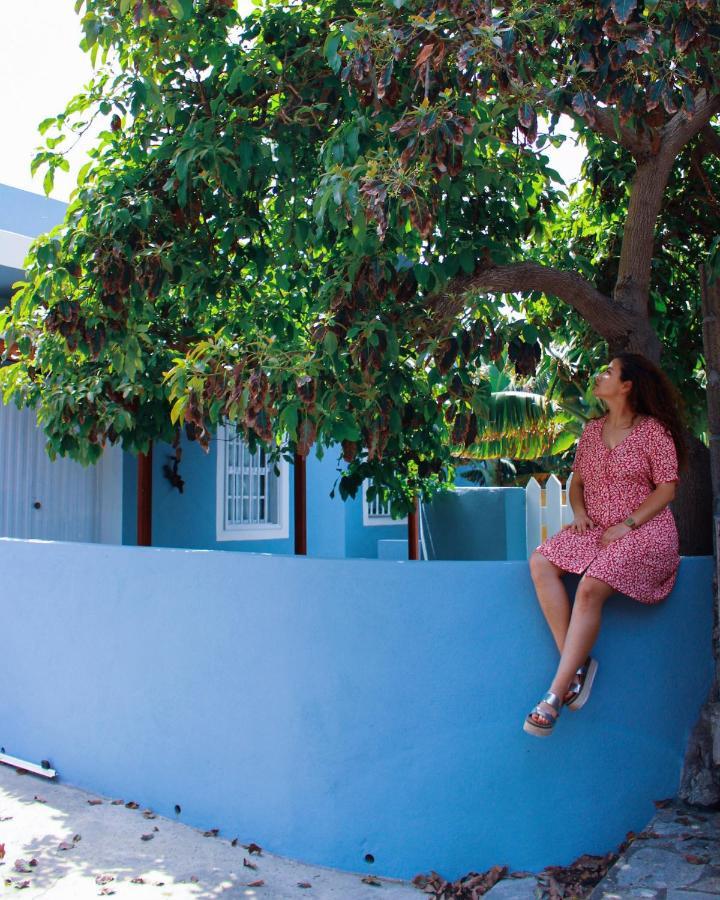 Rooftop Casa El Banco El Charco  ภายนอก รูปภาพ